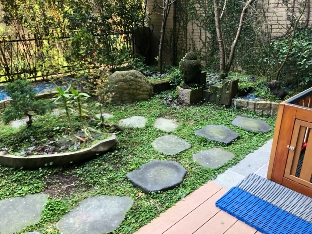 空中花園．露台草皮