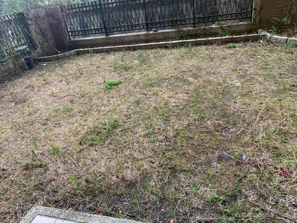空中花園．露台草皮
