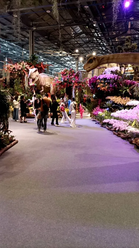 台南蘭花展