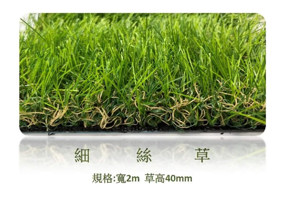 草高 4cm-細絲草